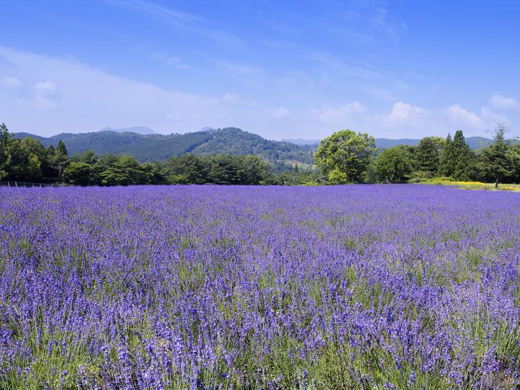 Menard Aoyama Resort: Wafukan Utatsukasa Iga Exterior foto